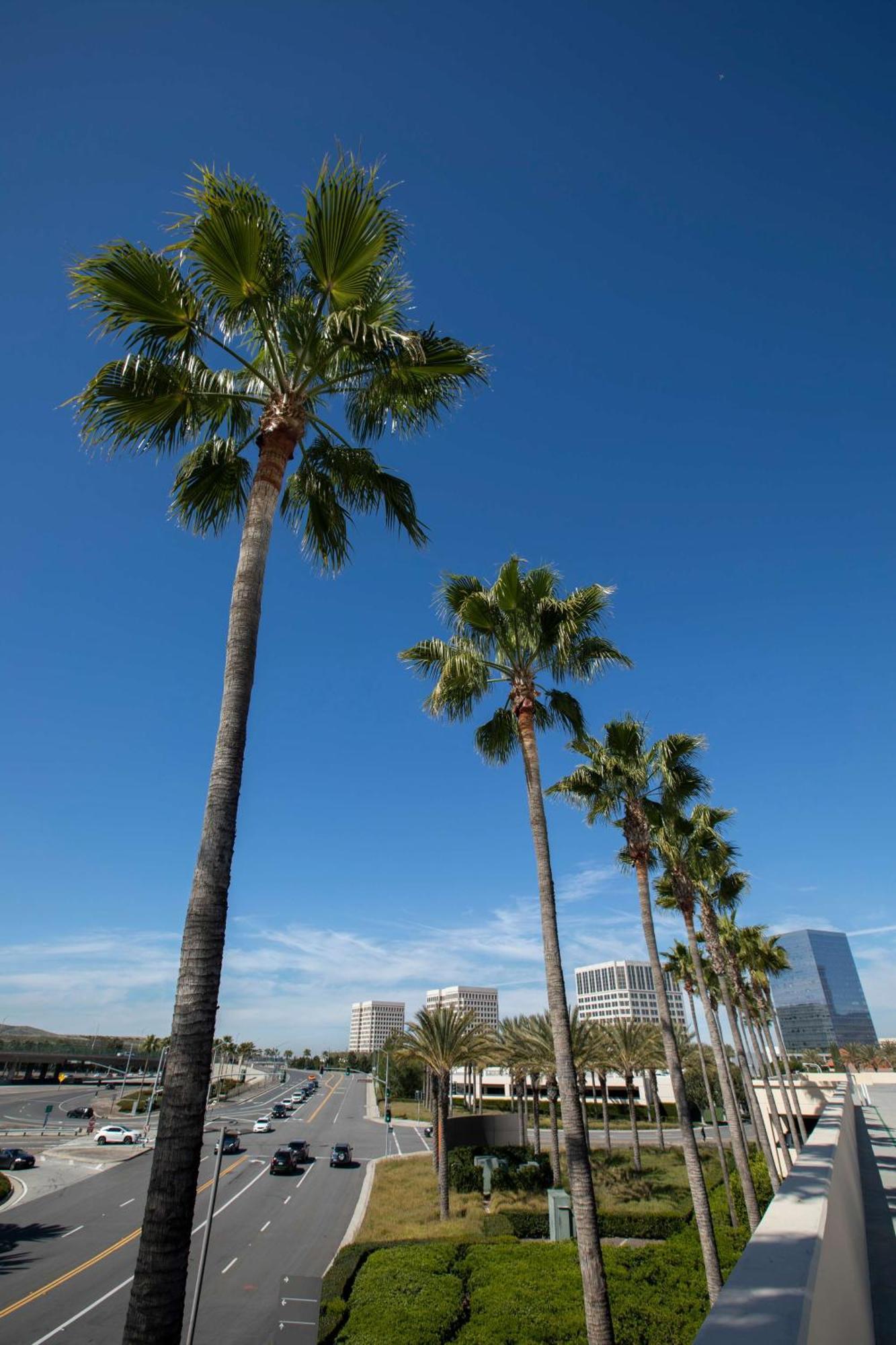 Hyatt Regency Irvine Hotel Екстериор снимка
